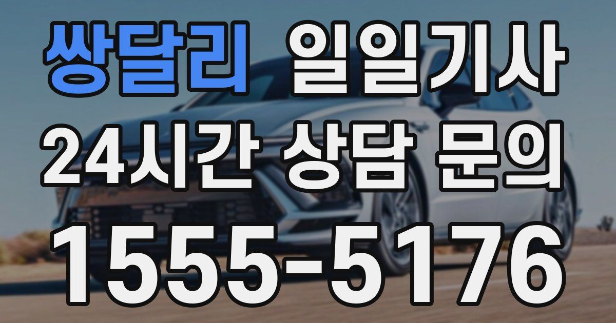 일일대리기사