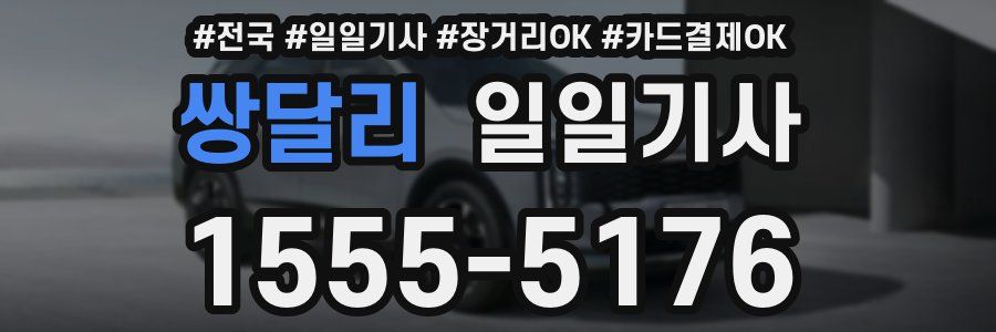 쌍달리 일일기사