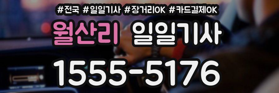 월산리 일일기사