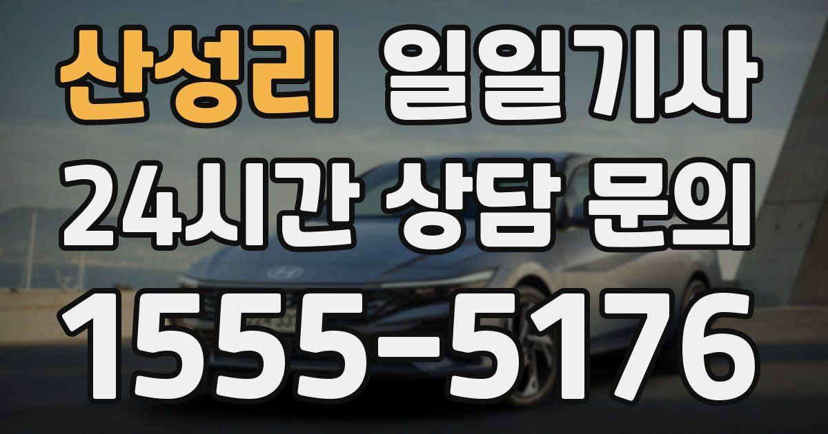 일일대리기사