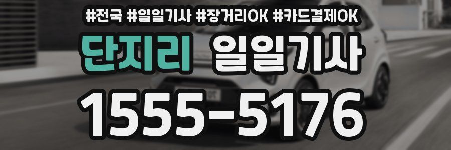 단지리 일일기사