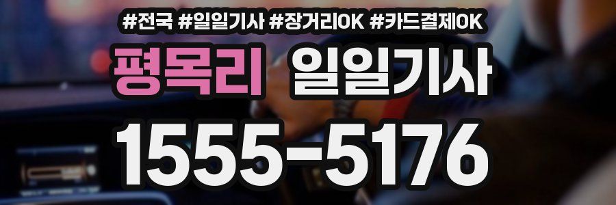 평목리 일일기사