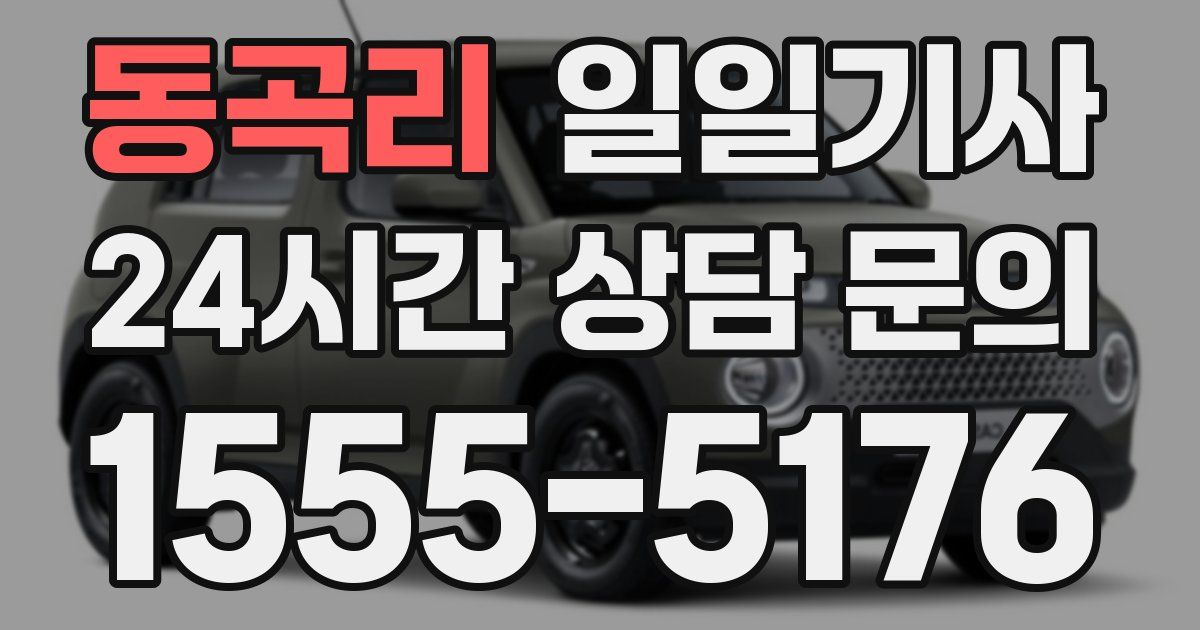 일일대리기사