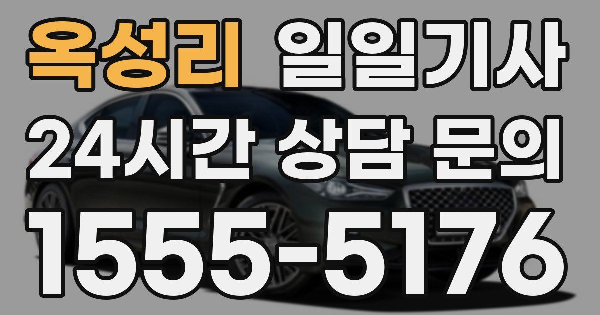 일일대리기사