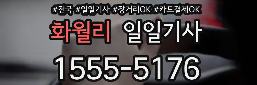 화월리 일일기사