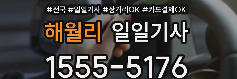 해월리 일일기사