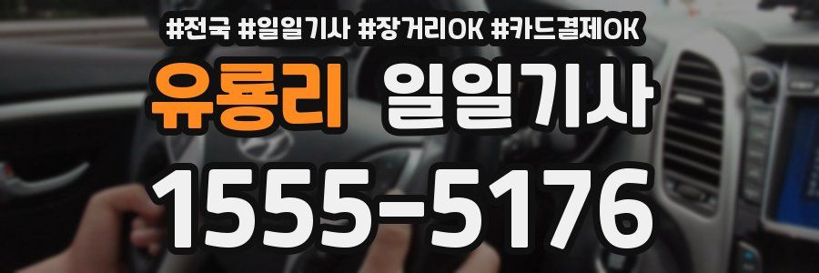 유룡리 일일기사