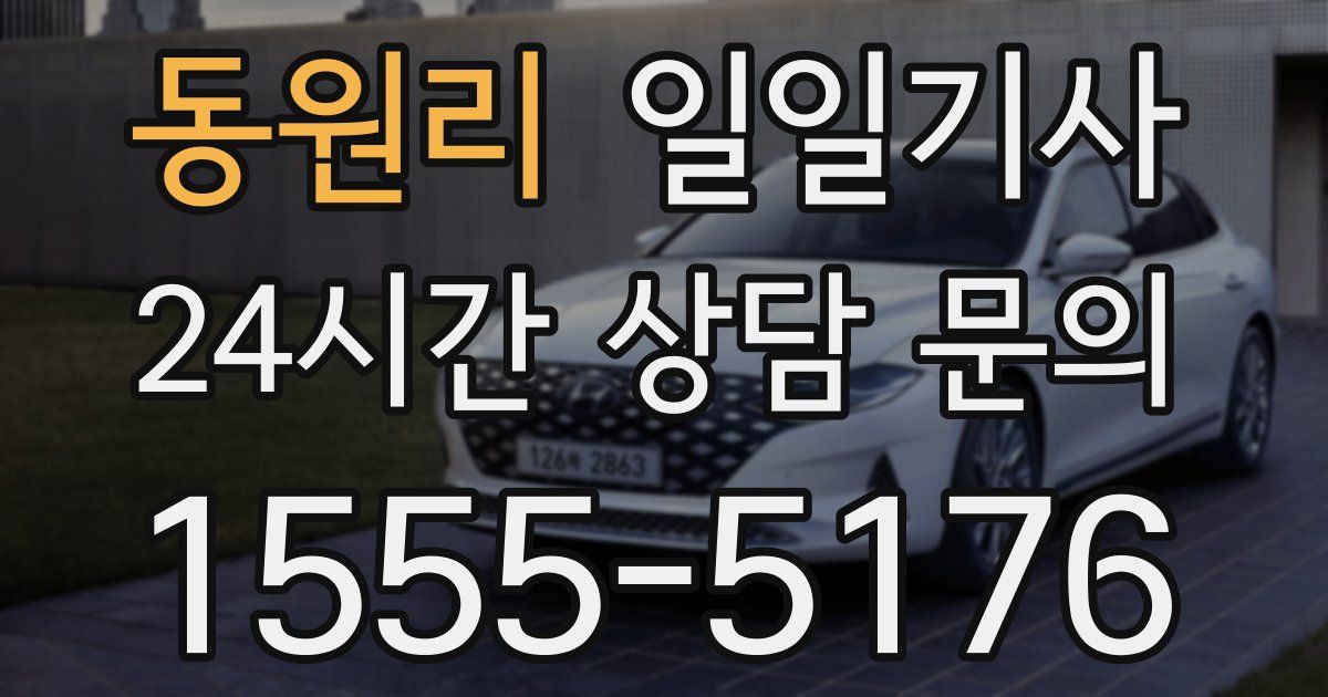 일일대리기사