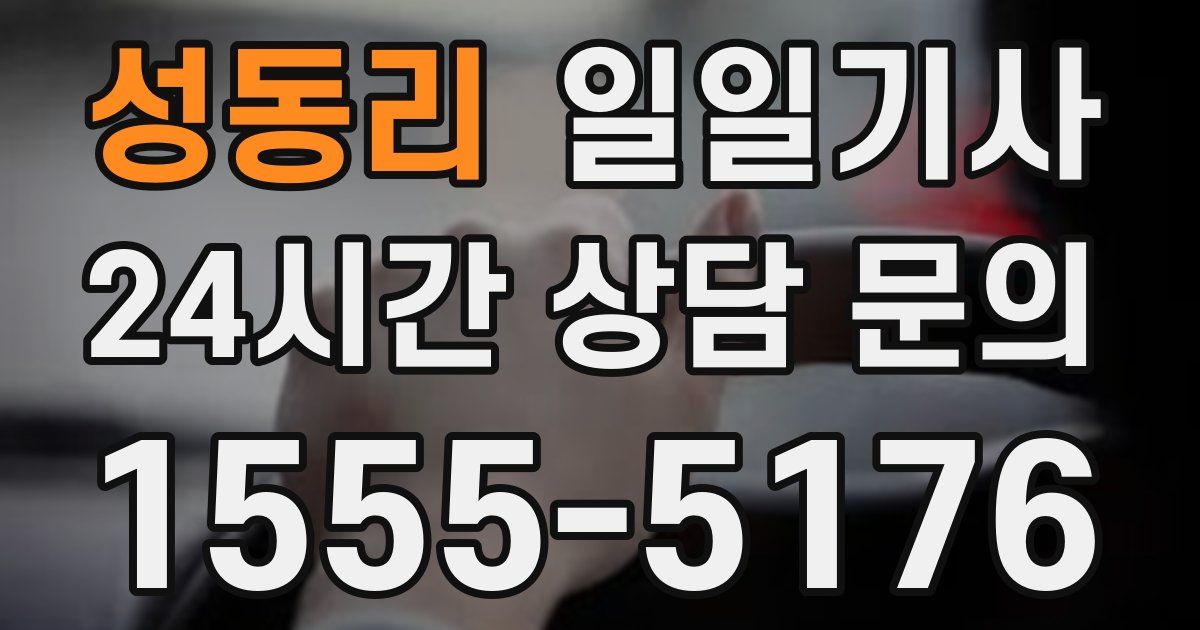 일일대리기사