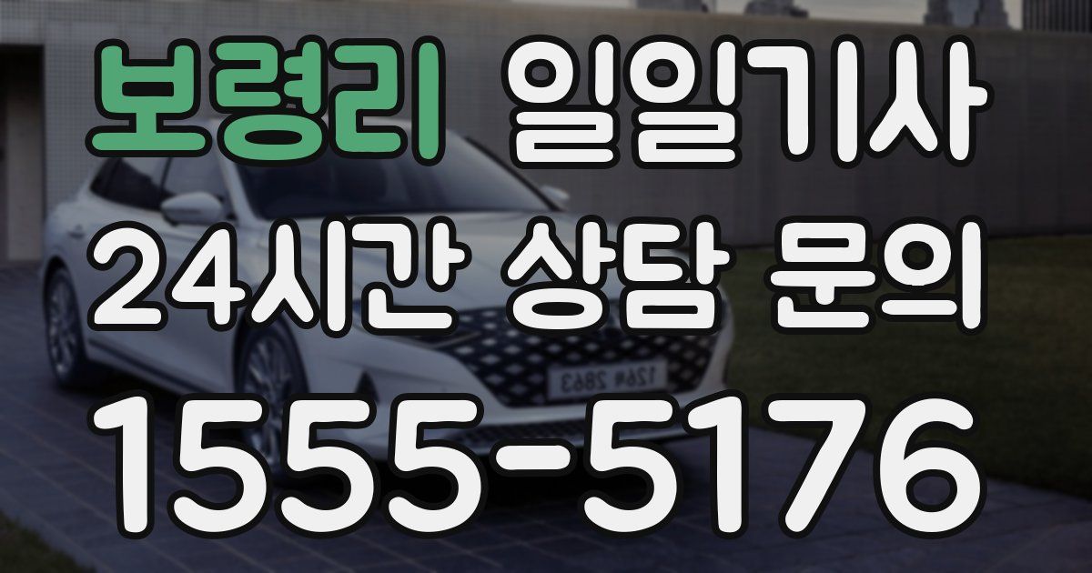 일일대리기사