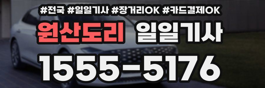 원산도리 일일기사