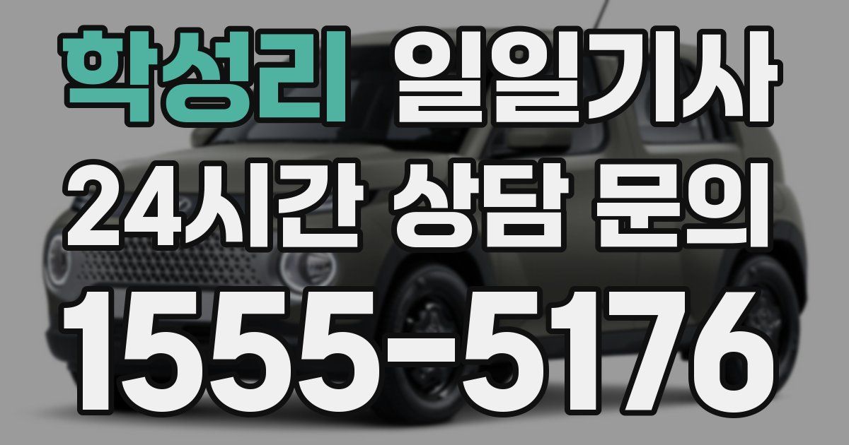 일일대리기사