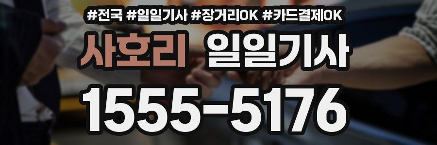 사호리 일일기사