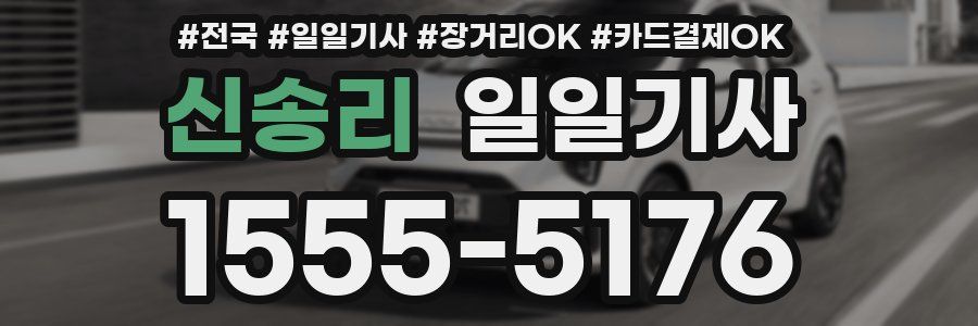 신송리 일일기사