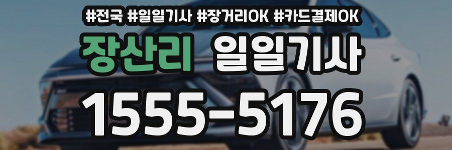 장산리 일일기사