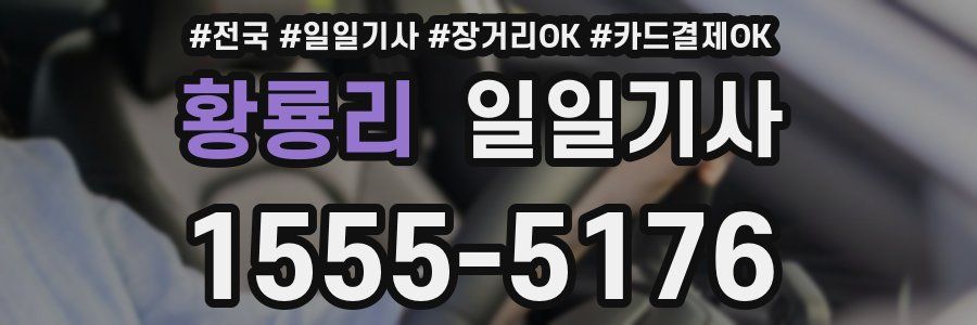 황룡리 일일기사