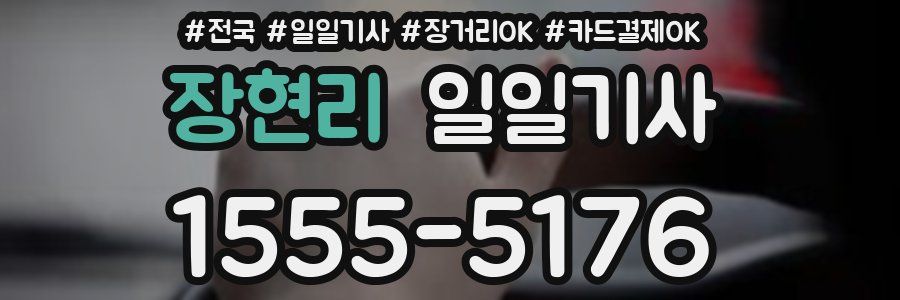 장현리 일일기사