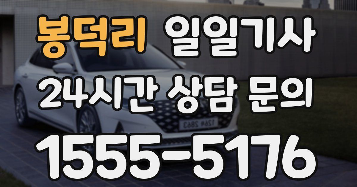 일일대리기사