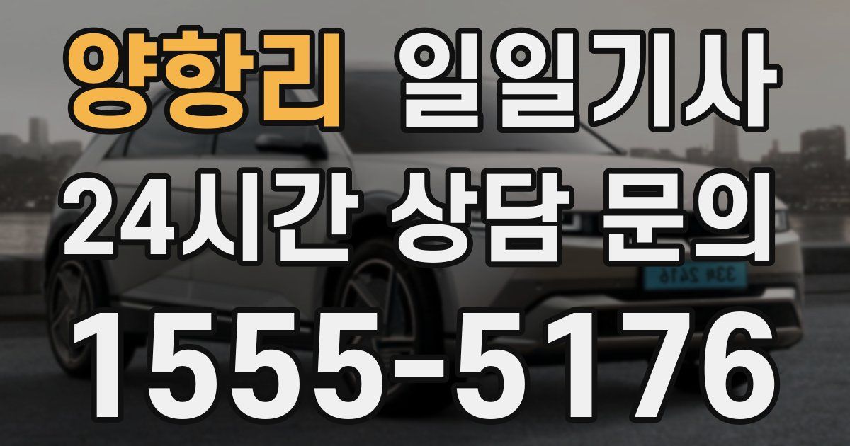 일일대리기사