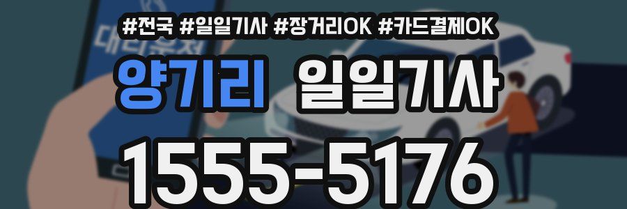 양기리 일일기사