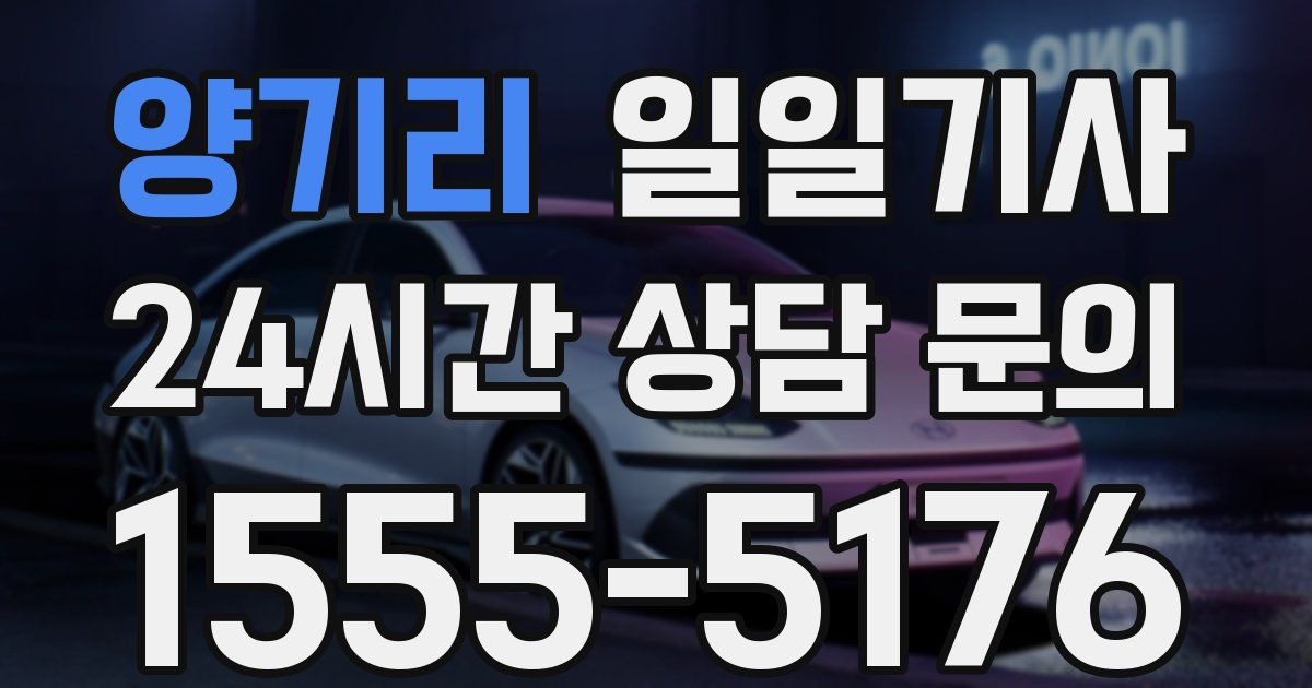일일대리기사
