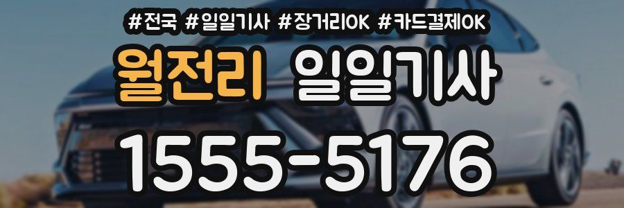 월전리 일일기사