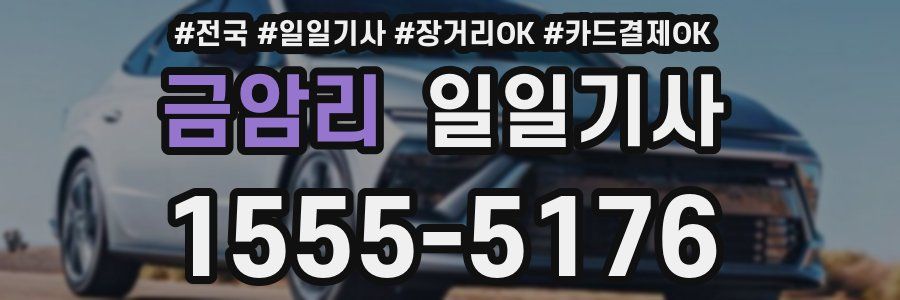 금암리 일일기사