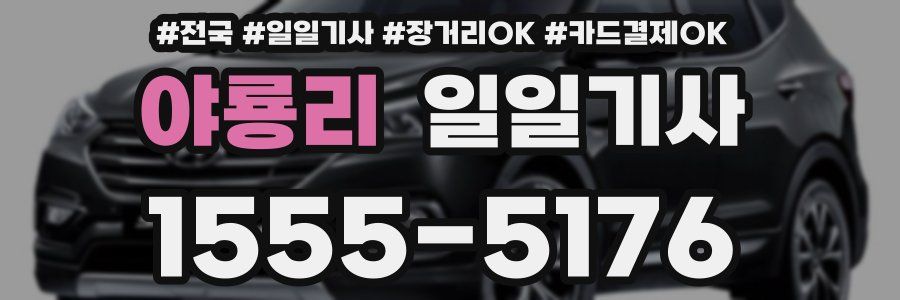 야룡리 일일기사