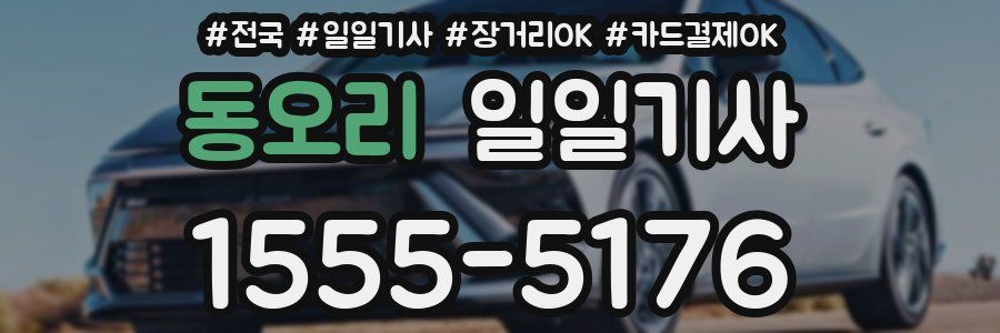 동오리 일일기사