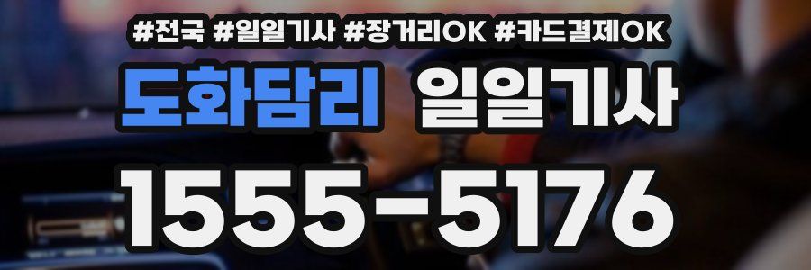 도화담리 일일기사