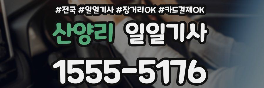 산양리 일일기사