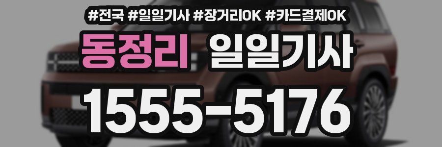 동정리 일일기사