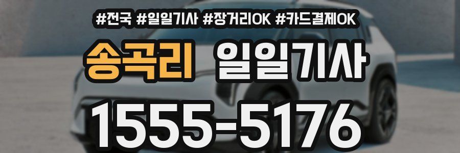 송곡리 일일기사