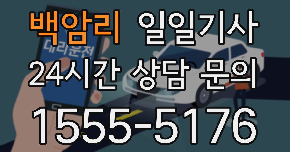 일일대리기사