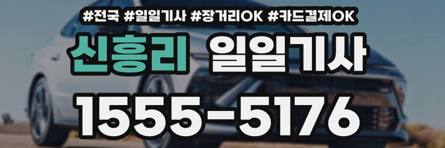 신흥리 일일기사