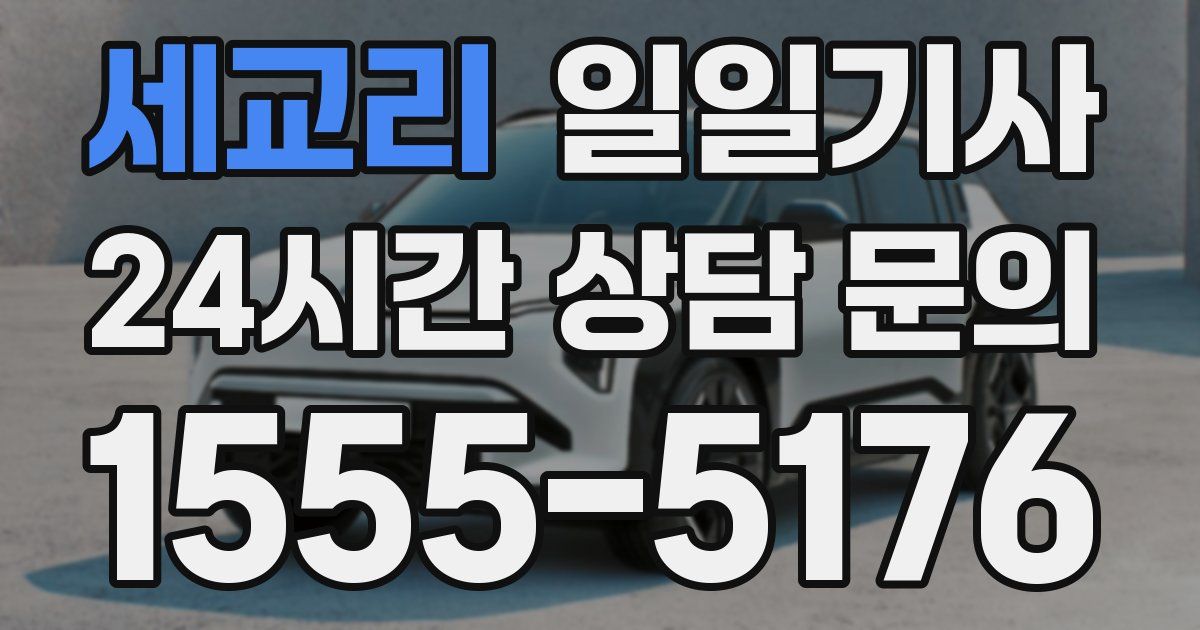 일일대리기사