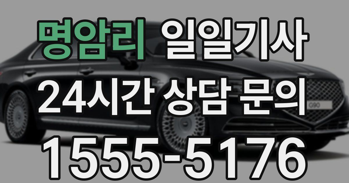 일일대리기사