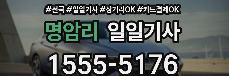 명암리 일일기사