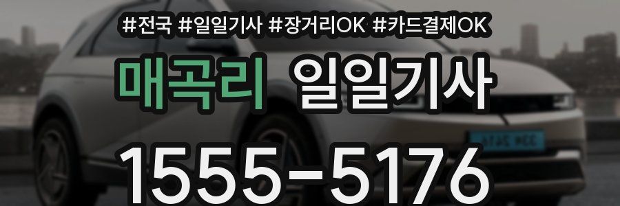 매곡리 일일기사