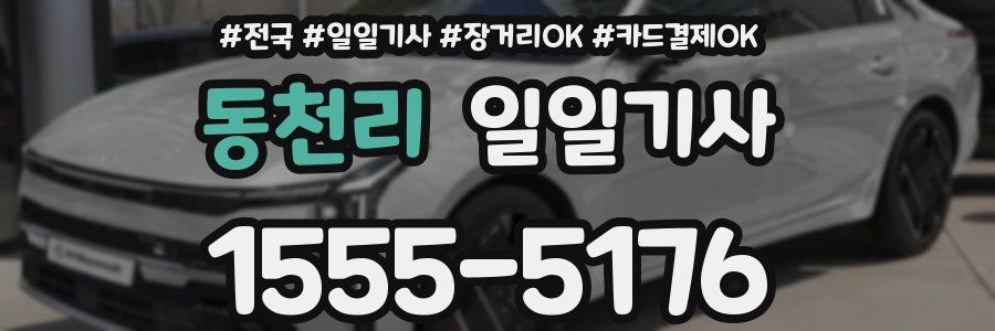 동천리 일일기사