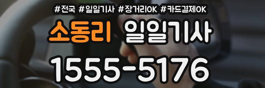 소동리 일일기사