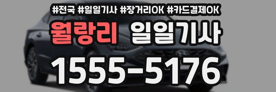 월랑리 일일기사