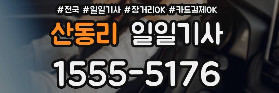산동리 일일기사