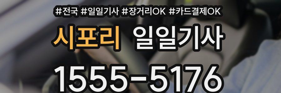 시포리 일일기사