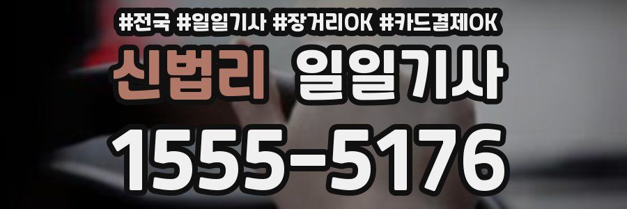 신법리 일일기사