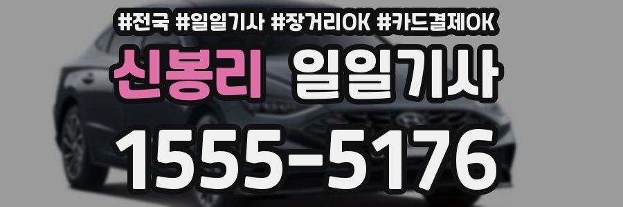 신봉리 일일기사