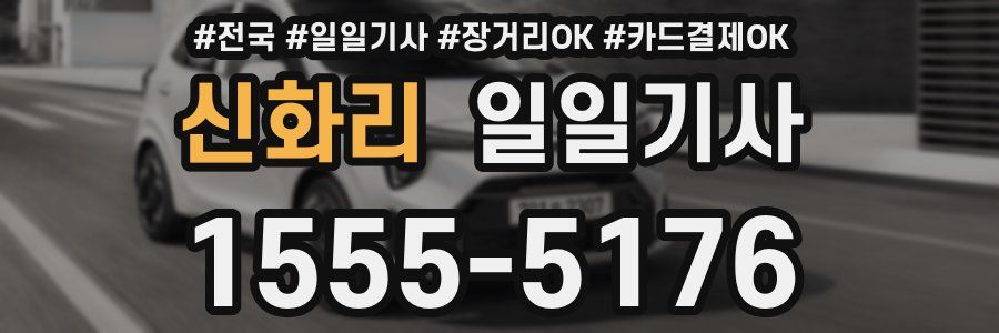 신화리 일일기사