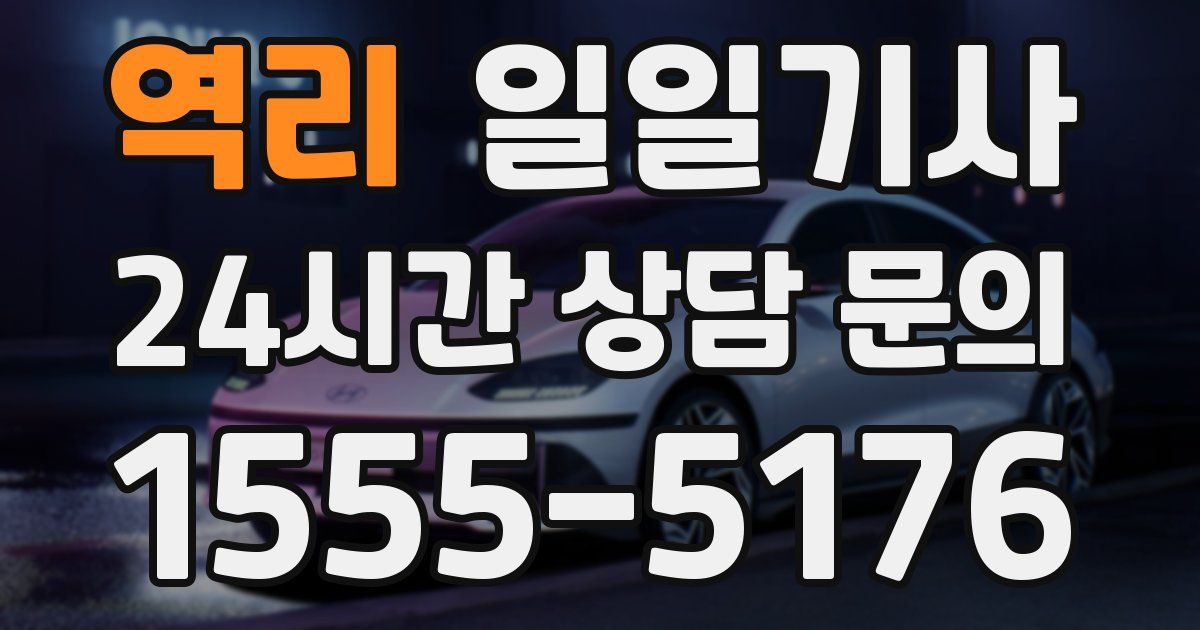 일일대리기사