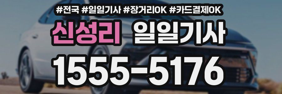 신성리 일일기사