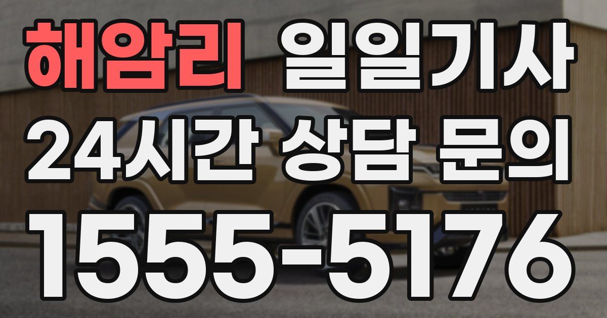 일일대리기사